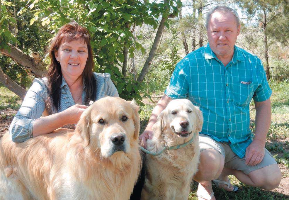 Vickie and Darren Harris with their Golden Retrievers
